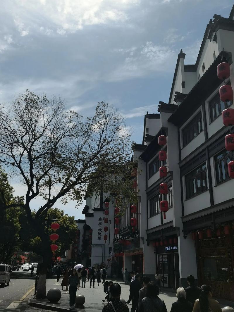 南朝古韵，南京的历史文化之旅