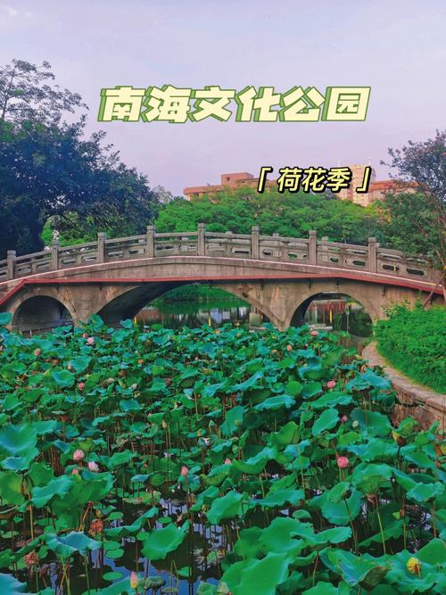 南海公园,历史文化与现代休闲的完美融合