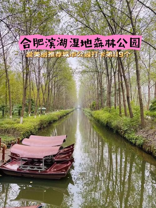 合肥树林公园,城市绿肺，休闲养生之地