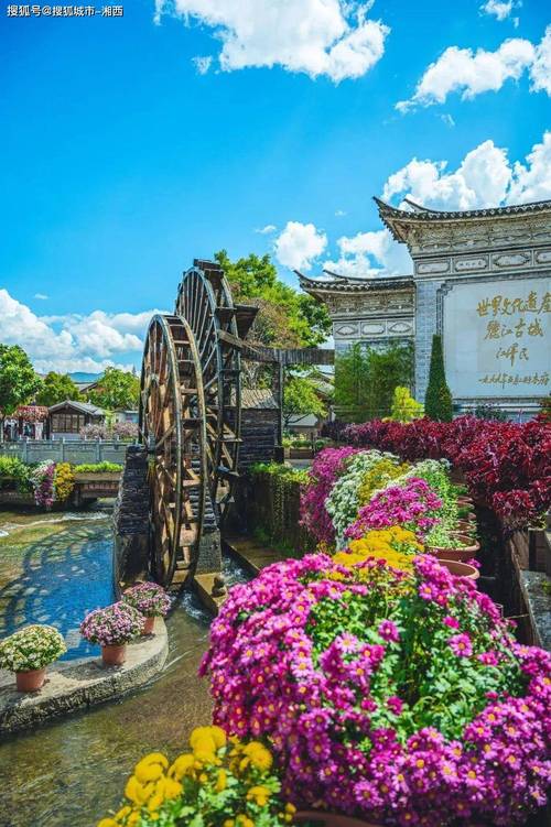 大理桂花，诗意盎然的花海之旅  第2张
