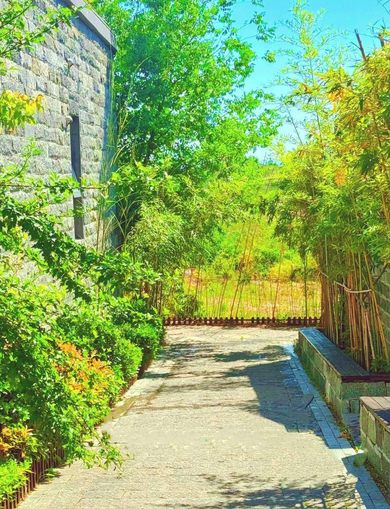 平邑,探寻沂蒙山区的历史文化与自然奇观