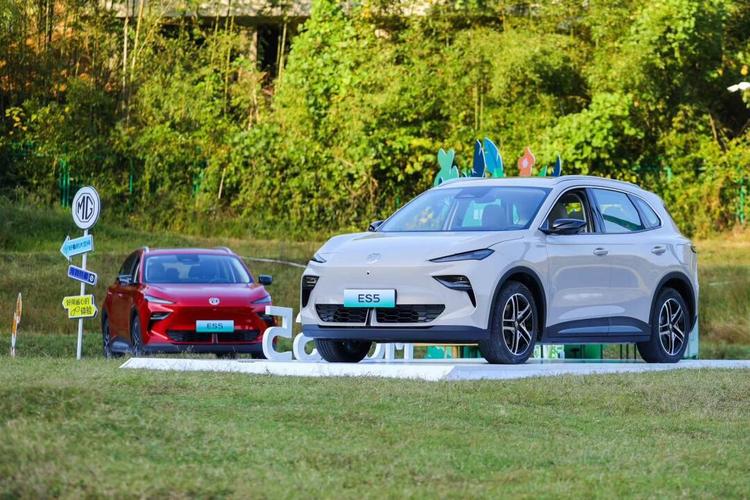 新能源锂电池电动车,绿色出行新潮流 第2张 新能源锂电池电动车,绿色出行新潮流 第2张