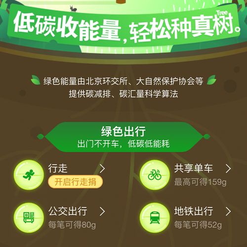 探寻真想林岚的摩托车型号_一款引领潮流的绿色出行神器