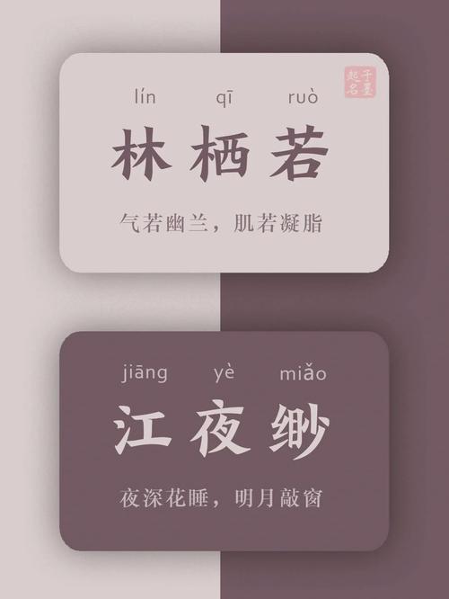 伊人夕岸染指年华意思，伊人公司。