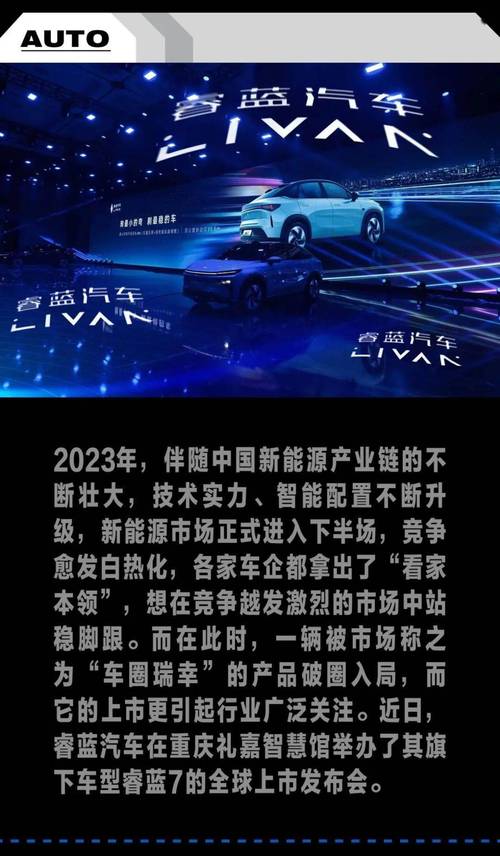 国产新能源车,崛起中的“双刃剑” 第2张 国产新能源车,崛起中的“双刃剑” 第2张