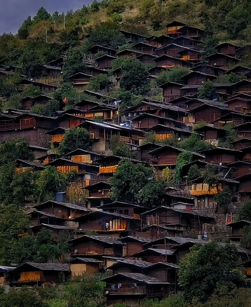 维西同乐村旅游攻略，大木瓜村旅游项目介绍。  第2张